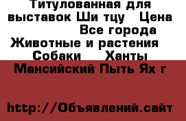 Титулованная для выставок Ши-тцу › Цена ­ 100 000 - Все города Животные и растения » Собаки   . Ханты-Мансийский,Пыть-Ях г.